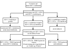 Symptome akute hiv infektion