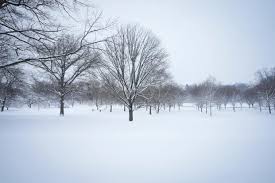 Are winter storms named? What to know in the wake of storm Hernando