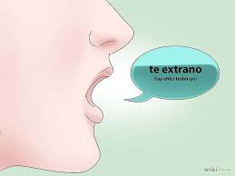 3 Ways to Say I Miss You in Spanish - wikiHow via Relatably.com