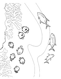 fish coloring pages ile ilgili görsel sonucu