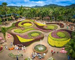 Image of colorful flowers and landscaped gardens at Nong Nooch