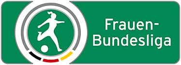 Image result for bundesliga logo 2015