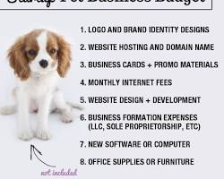 Pet sitting business idea