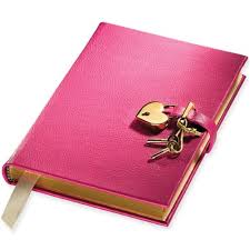 Image result for diary