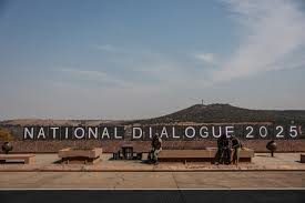 SA Expats Demand a Seat! Will Their Voices Be Heard? - Imagen principal del artículo