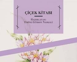 &Ccedil;i&ccedil;eklerin Tarihi  Stephen Spongberg kitabı