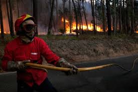Bombeiro detido por atear sete focos de incêndio em Alfândega da Fé