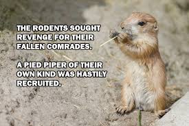 Image result for Animal Meme