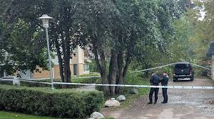 SVT Nyheter - News update