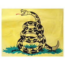 Image result for gadsden flag