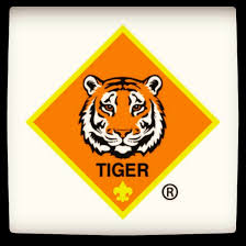 Image result for tiger scout 2016
