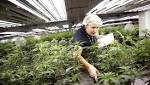 India study marijuana-derived drugs