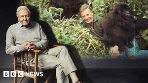 When Attenborough met the gorillas - the story behind his iconic TV moment