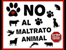 Resultado de imagen para maltrato animal