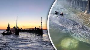 Timmy de bultrug eindelijk op weg naar de Noordzee