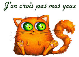 Résultat de recherche d'images pour "photos de chat  pour dire tu es belle gratuits"