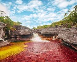 caño-cristales-llanos-orientales-la-macarena