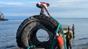 Giant Industrial Tires Removed from B.C. Beach, Averting Environmental Hazard