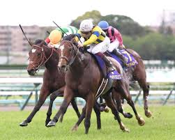 News source: netkeiba