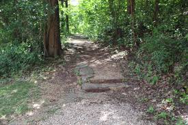 Image result for "Alley Spring"