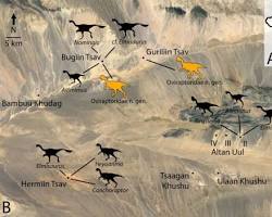 Mongolia dinosaur fossils