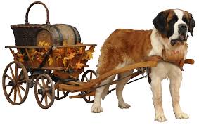 R�sultat de recherche d'images pour "gif suisse"