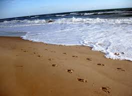 Image result for footprints in the sand