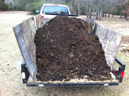 horse manure ile ilgili görsel sonucu