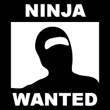 Hasil gambar untuk ninja