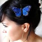 Butterfly Hair Accessories - Polyvore