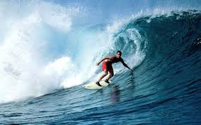 images?q=tbn:ANd9GcSAeGdV5WAF2hWTq-bkjzyutIzEMN-BRC-FS8ouBhTGrxbhbSqi