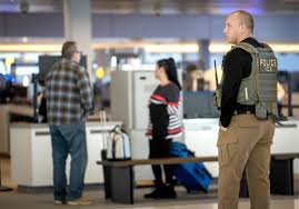 ICE Personnel Deployed to Airports Amid TSA Staffing Issues