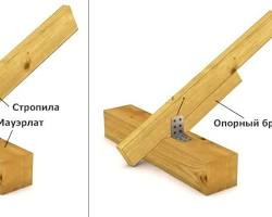 Изображение: мауэрлат