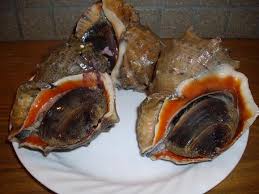 ロドマンの釣りと子育て奮闘記２ 14年7月