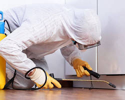 technicien désinsectisation punaise de lit paris professionnel, généré par IA