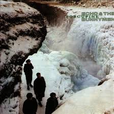 Резултат слика за echo and the bunnymen biografija benda