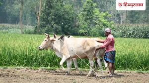 जुलाई का काउंटडाउन: 30 जून से पहले क्यों जरूरी है PM-Kisan eKYC अपडेट करना