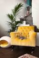 Images for yellow velvet armchair sydney