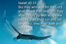 Bible Quotes on Strength | Bible Quotes, Strength Bible Quotes and ... via Relatably.com