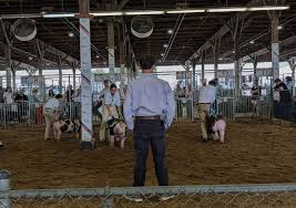maryland state fair Picture