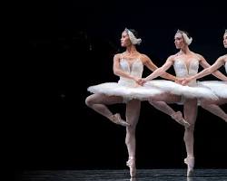 Image of Swan Lake ballet