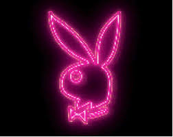 Résultat de recherche d'images pour