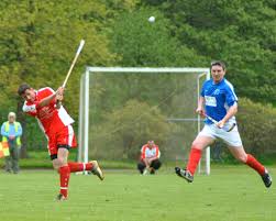 Résultat de recherche d'images pour "shinty"