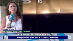 Canal Sur - News update