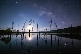 Look Up This Week to See the Peak of the Lyrid Meteor Shower. Humans Have Documented This Dazzling Annual Display for 2,700 Years