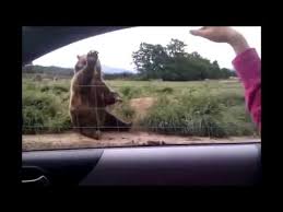Image result for hi meme