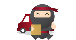 Hasil gambar untuk ninja