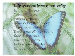 Best 17 popular quotes about butterfly image Hindi | WishesTrumpet via Relatably.com