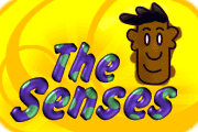 Resultado de imagen para five senses clip art gif