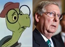 Image result for cecil turtle